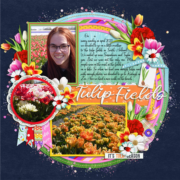 Tulip Fields
