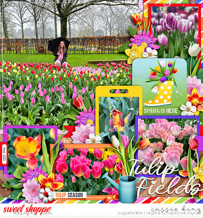 Tulip Fields