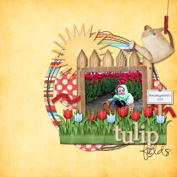 Tulip Fields