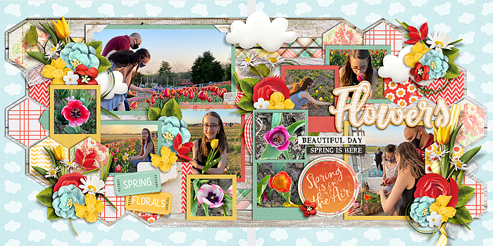 Tulip Picking