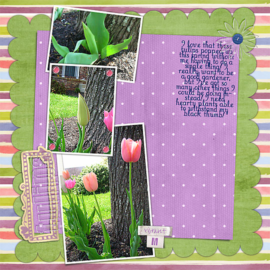 Tulips