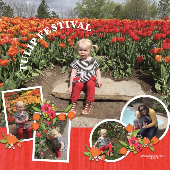Tulips