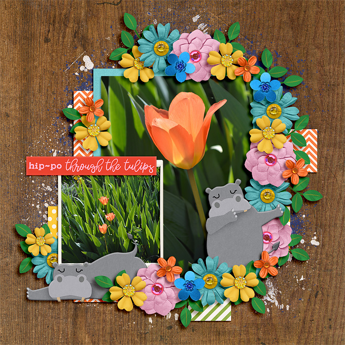 Tulips