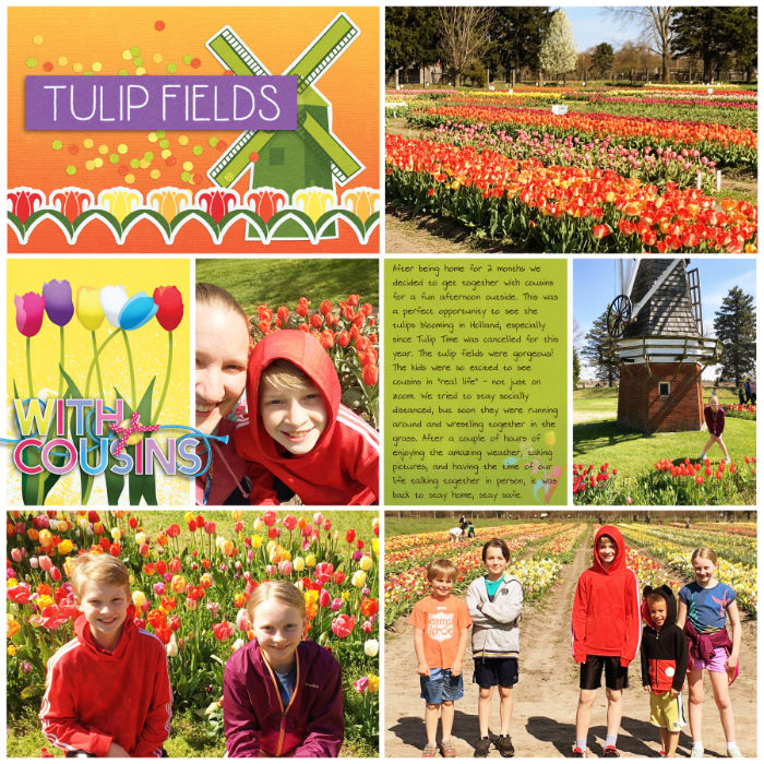 Tulips