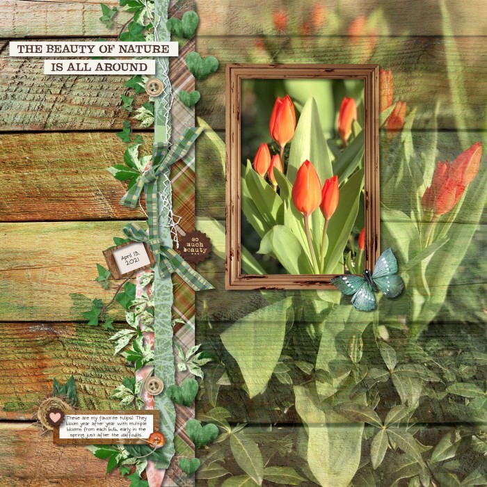 Tulips