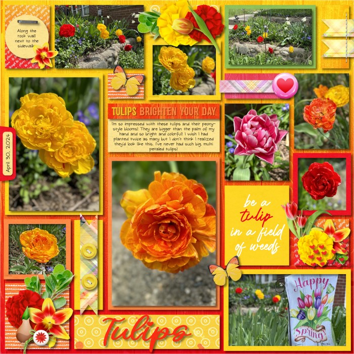 Tulips