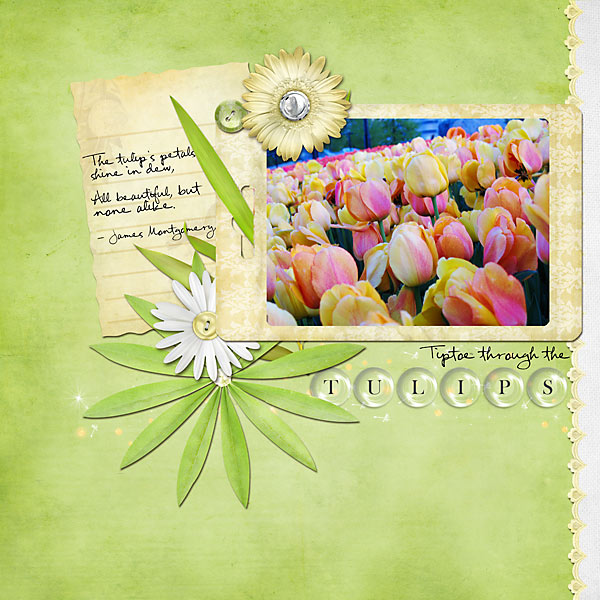 Tulips