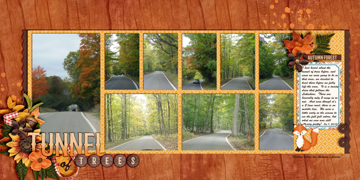 Tunnel of Trees