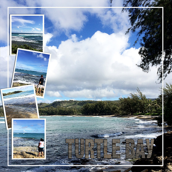 Turtle Bay