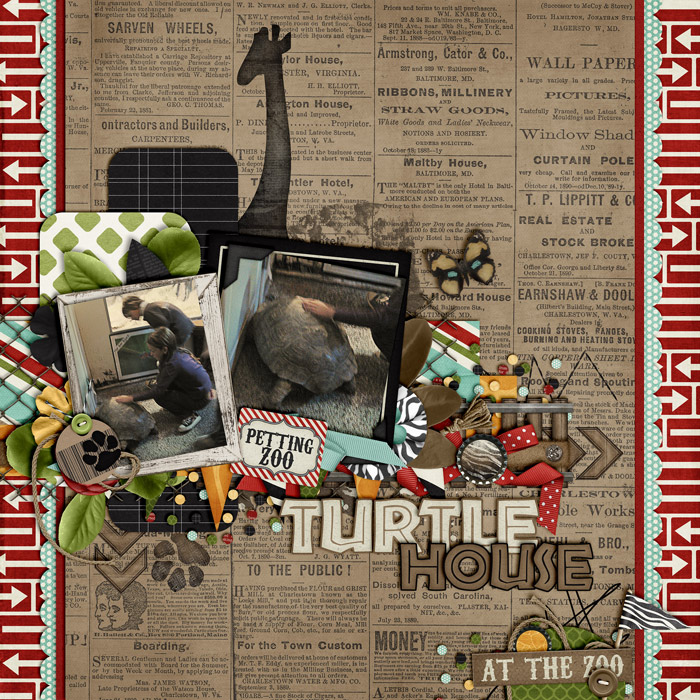 Turtle House