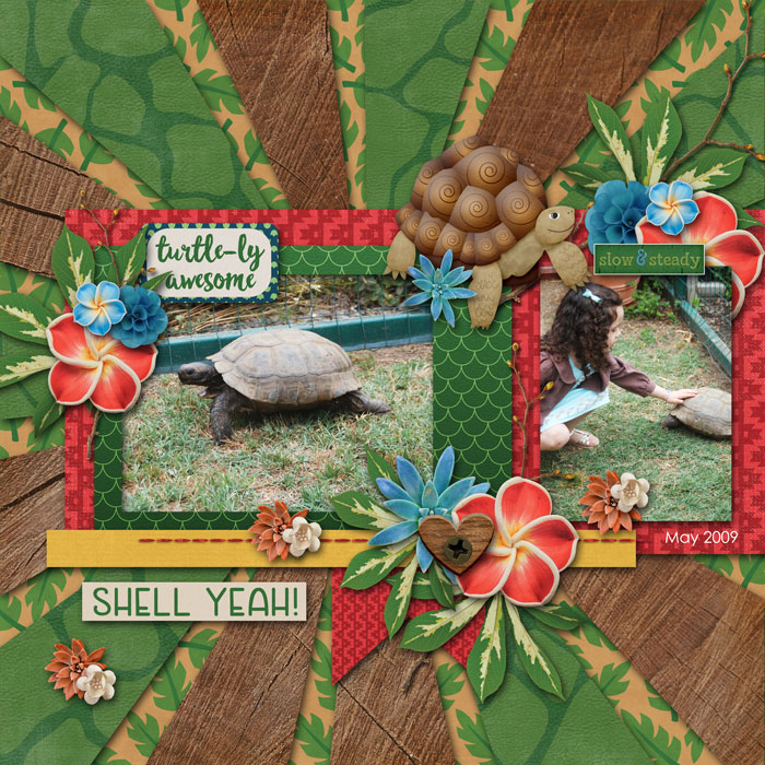 Turtle-ly Awesome