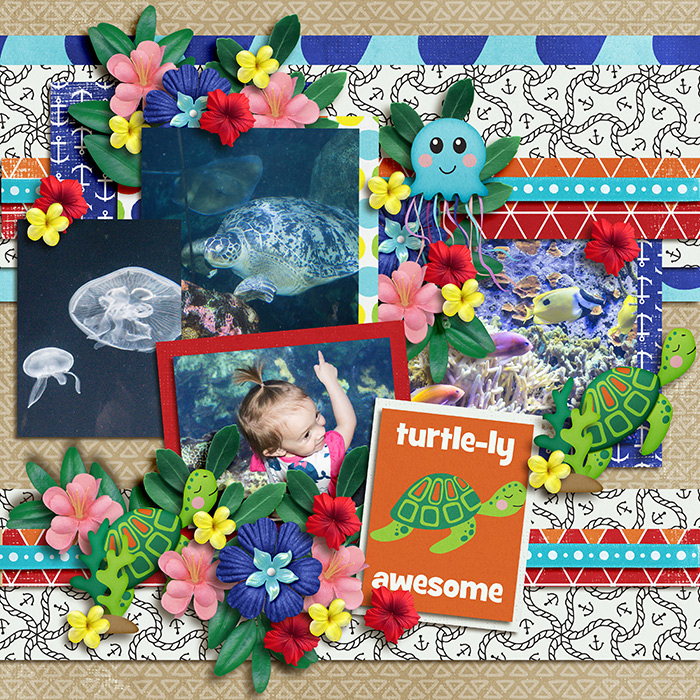 Turtle-ly Awesome
