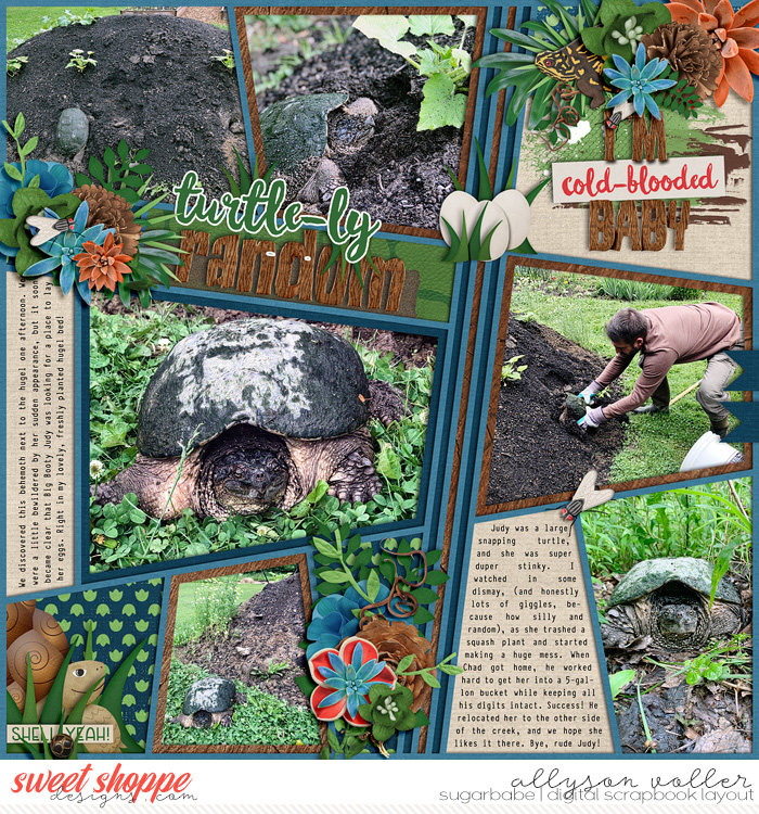 Turtle-ly Random