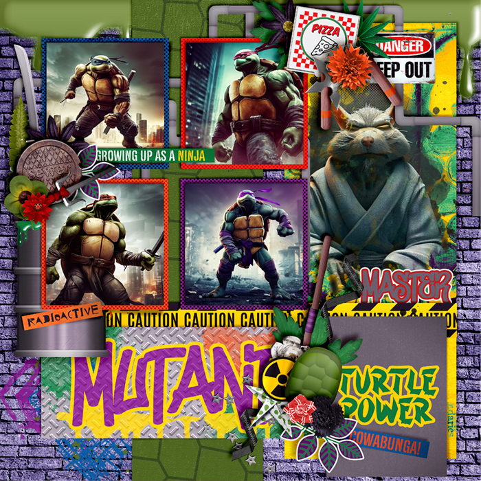 Turtle power