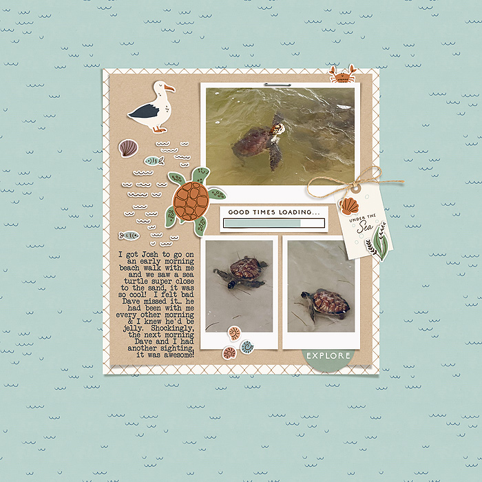 turtle time