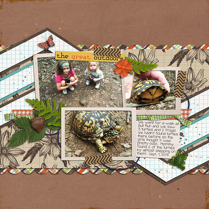 turtle walk