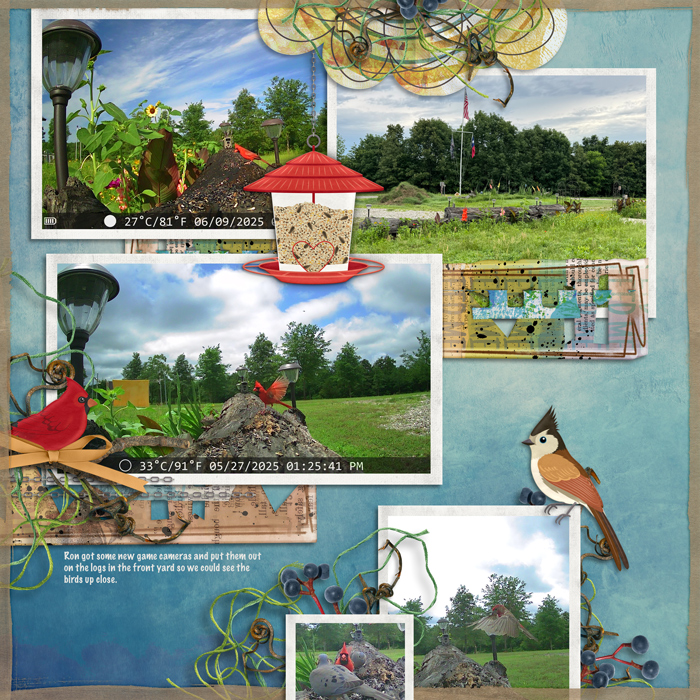 Tweet Tweet Twitter Twitter bundle by Clever Monkey Graphics