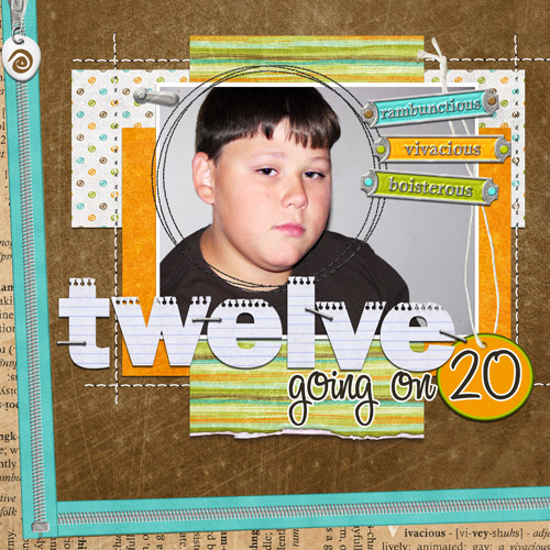 twelve......20