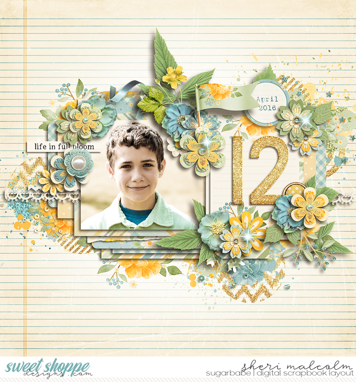 Twelve
