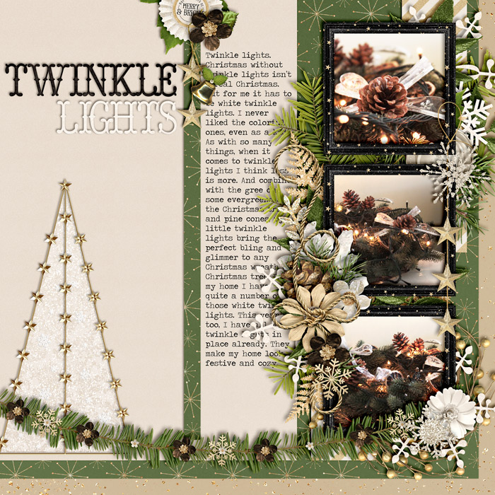 Twinkle Lights