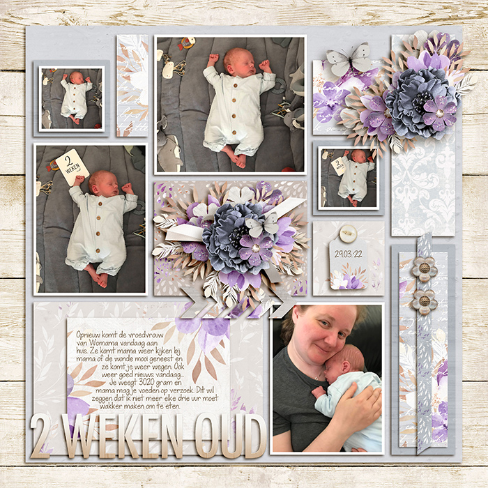 Two weeks old