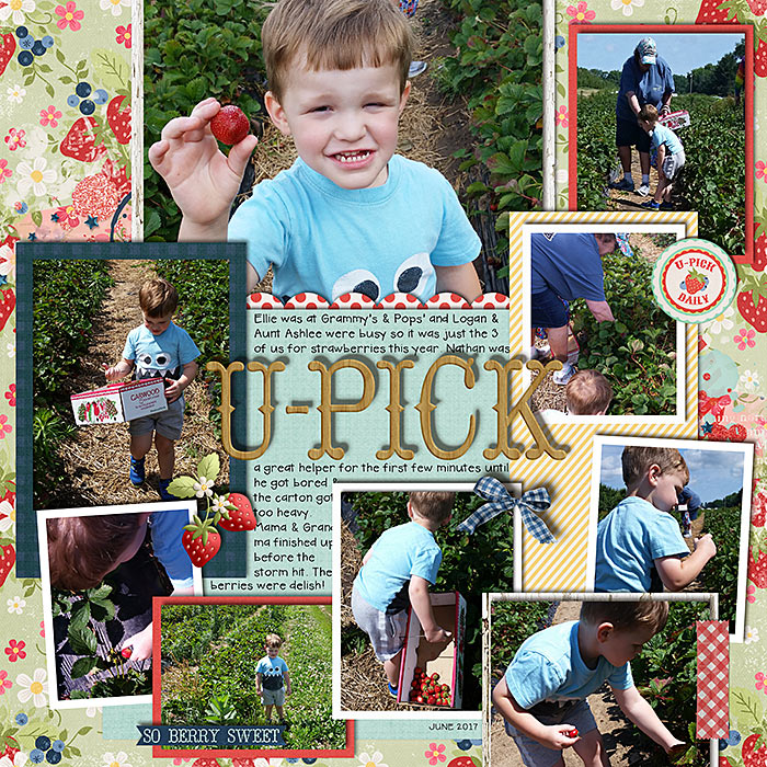 U-Pick 2017