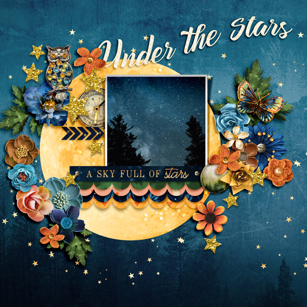 Under the Stars