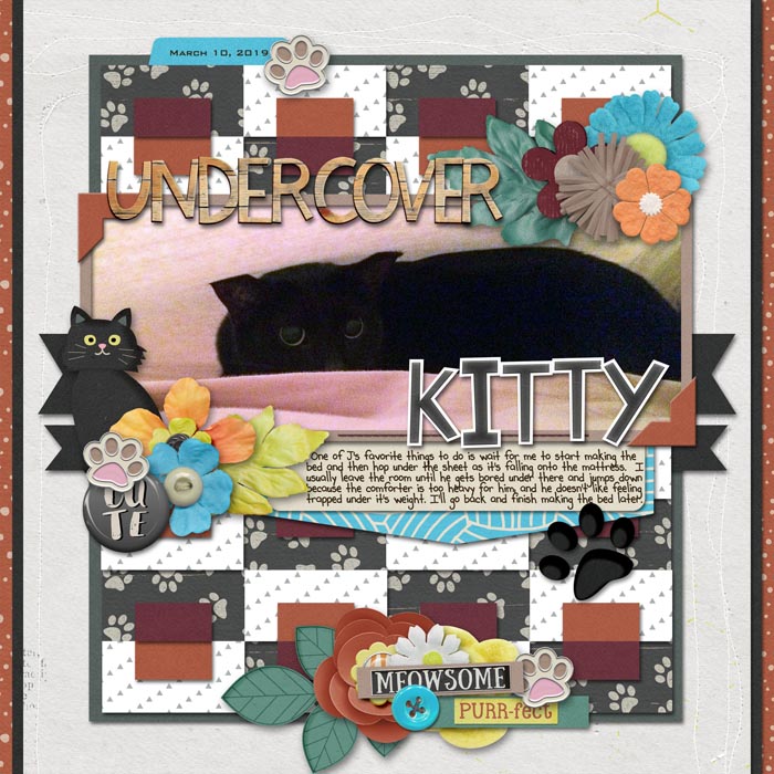 Undercover Kitty