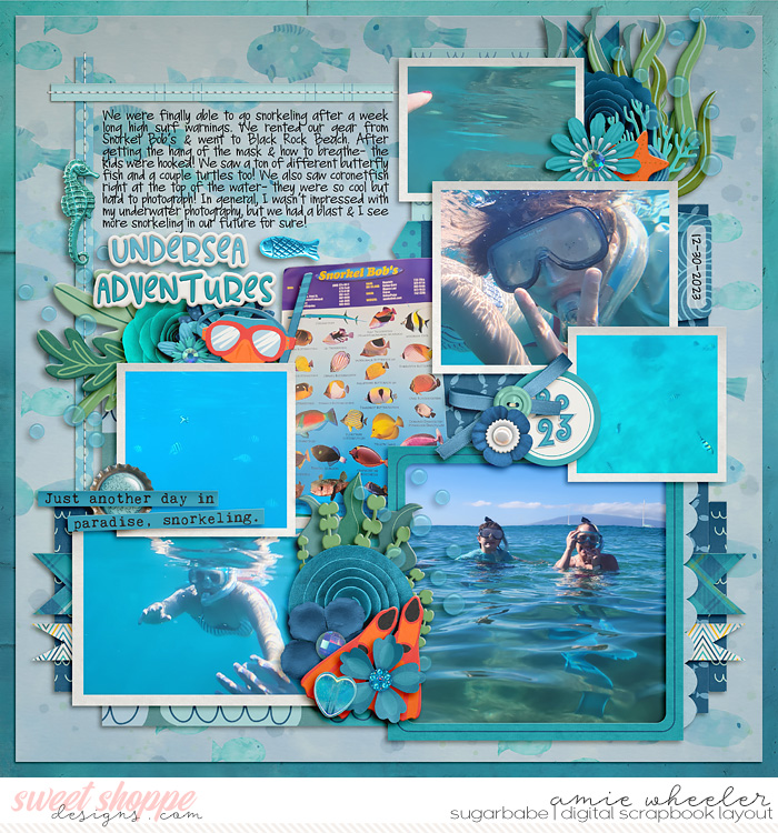 Undersea Adventures