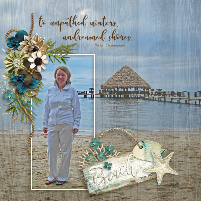 Undreamed shores