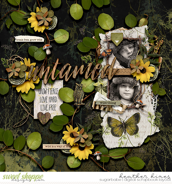 Untamed