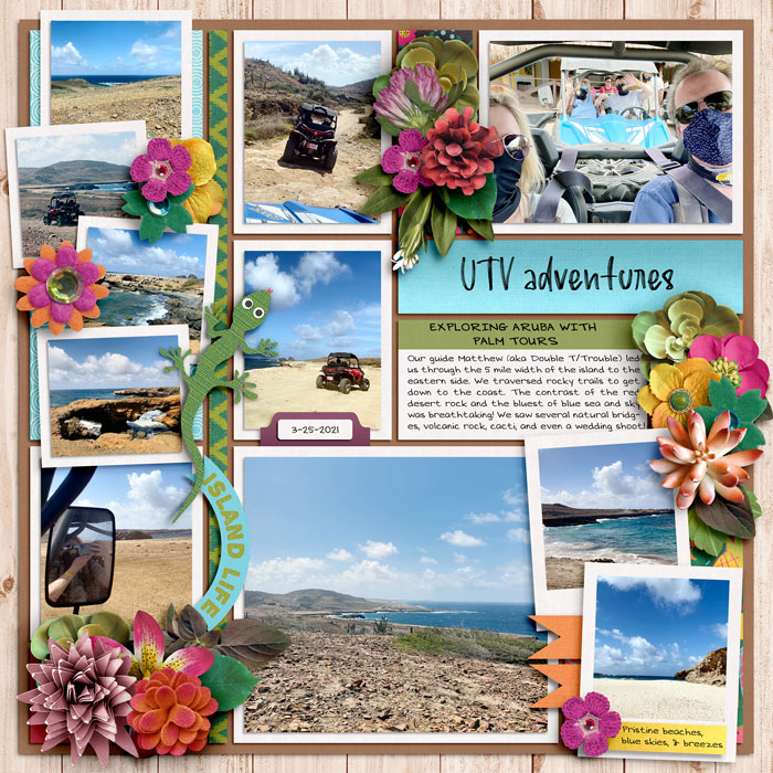 UTV Adventures