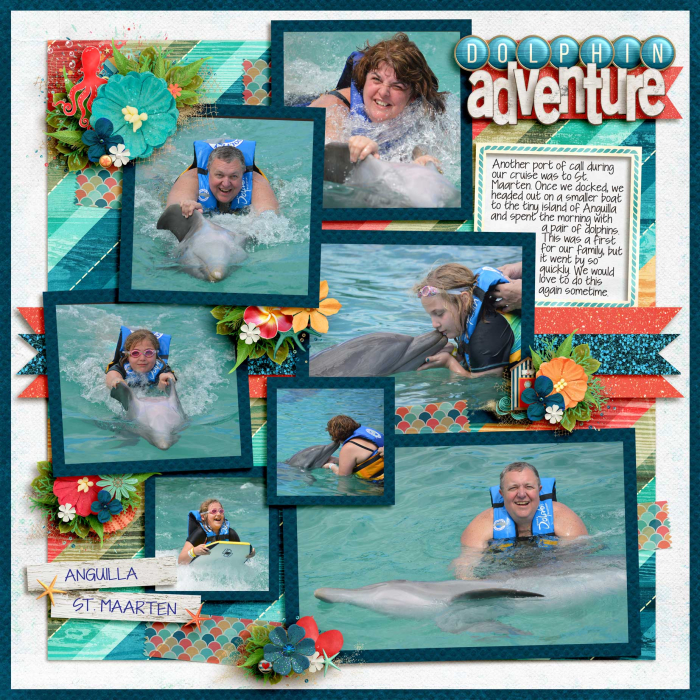 Vacations - St. Maarten Dolphin Adventure