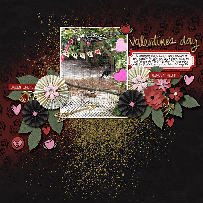 Valentine's Day - Darla the hornbill
