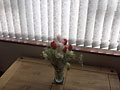 valentines flowes far
