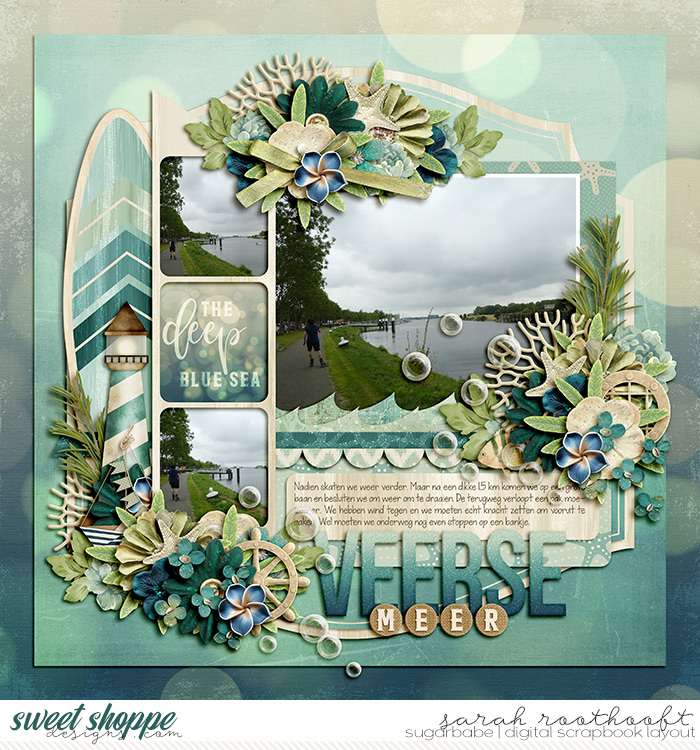 Veerse meer
