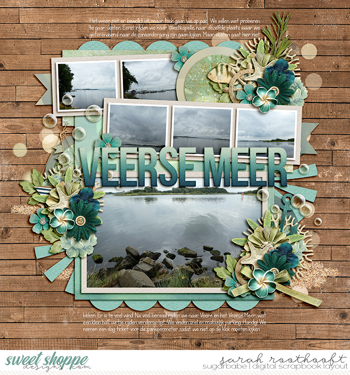 Veerse meer