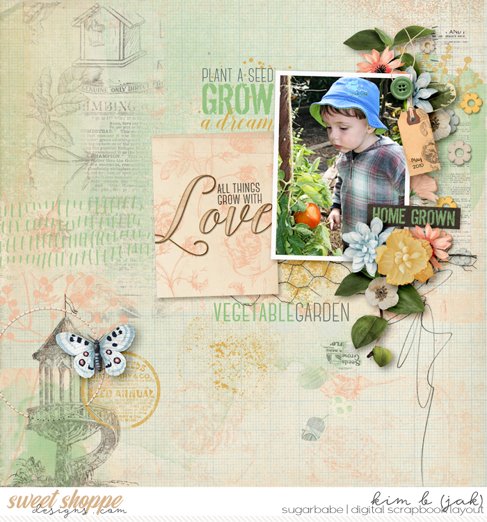 Vegetable Garden