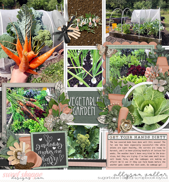 Vegetable Garden