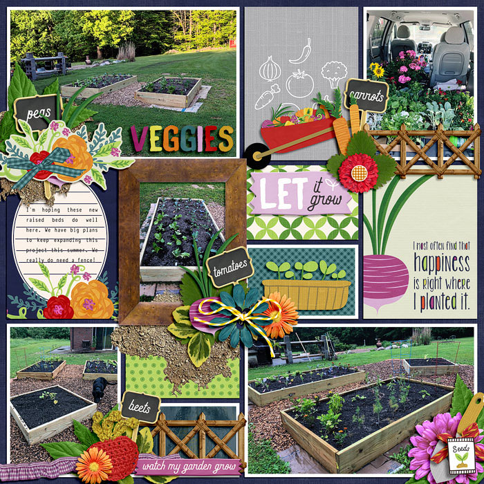 Veggie Garden