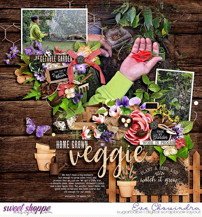 veggie garden