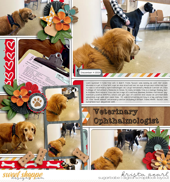 Vet appointment 1