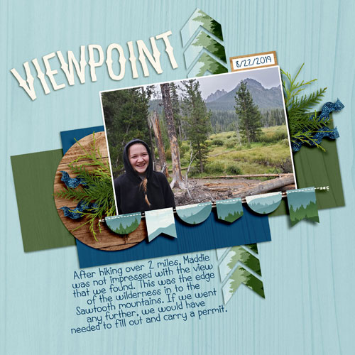 Viewpoint
