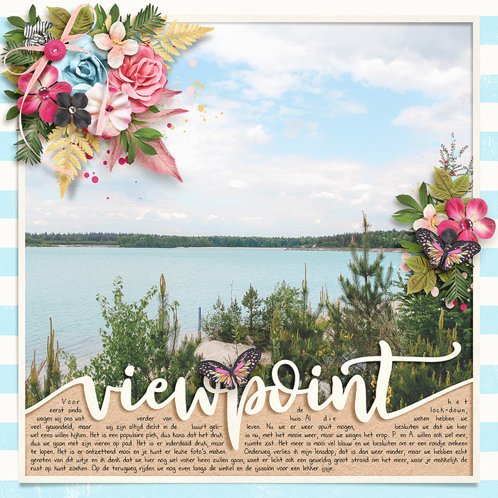 Viewpoint