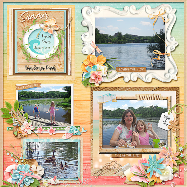 Views of the Huron River