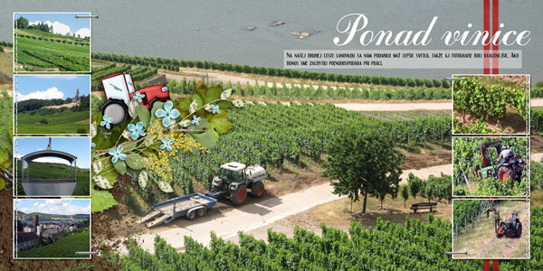 Vineyards...
