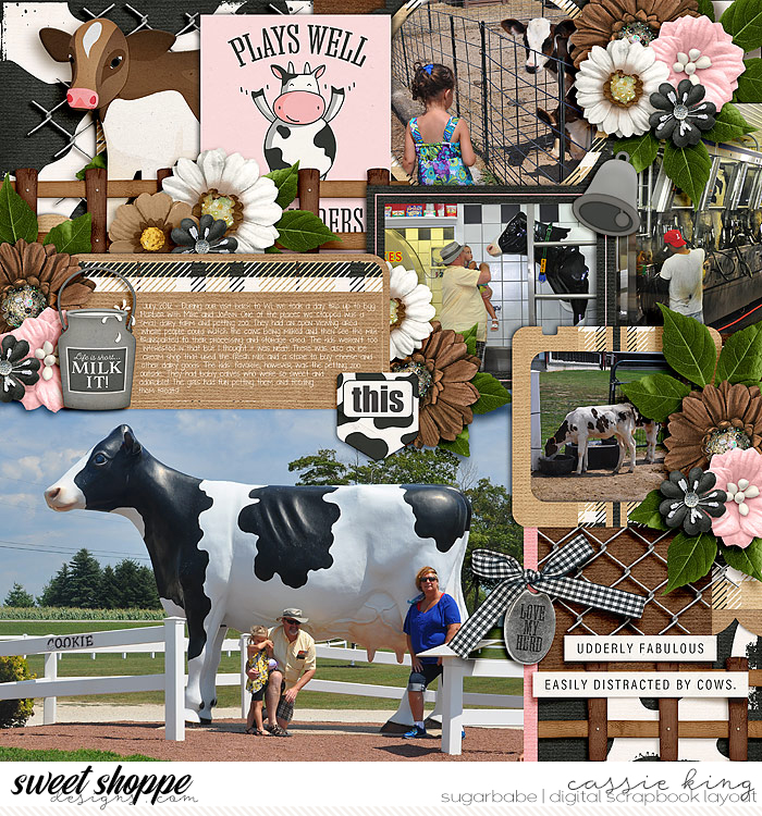 Visit to the Dairy Farm