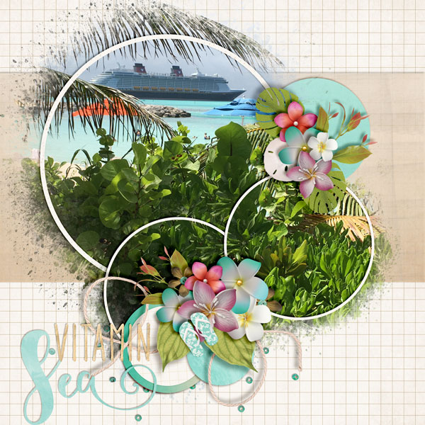 Vitamin-Sees