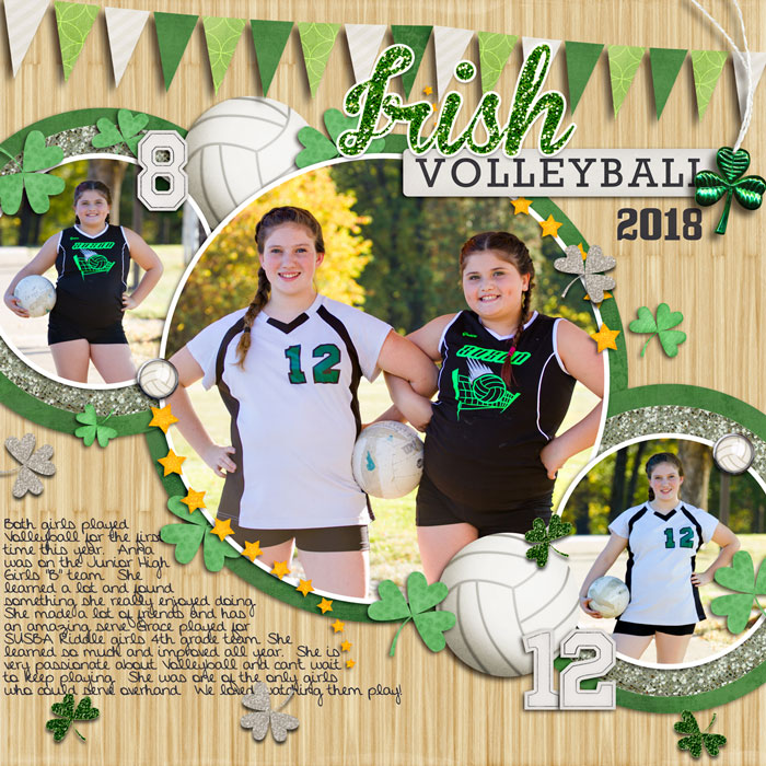 Volleyball 2018