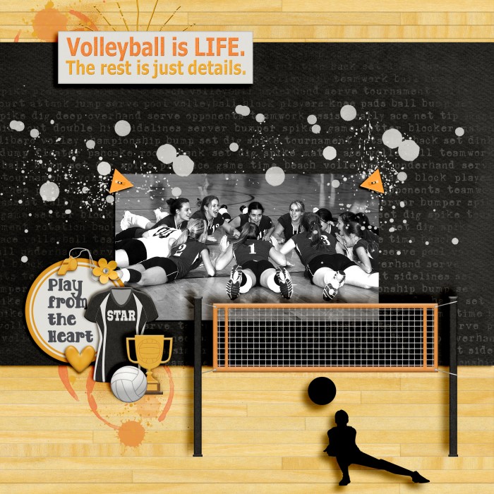 Volleyball is Life